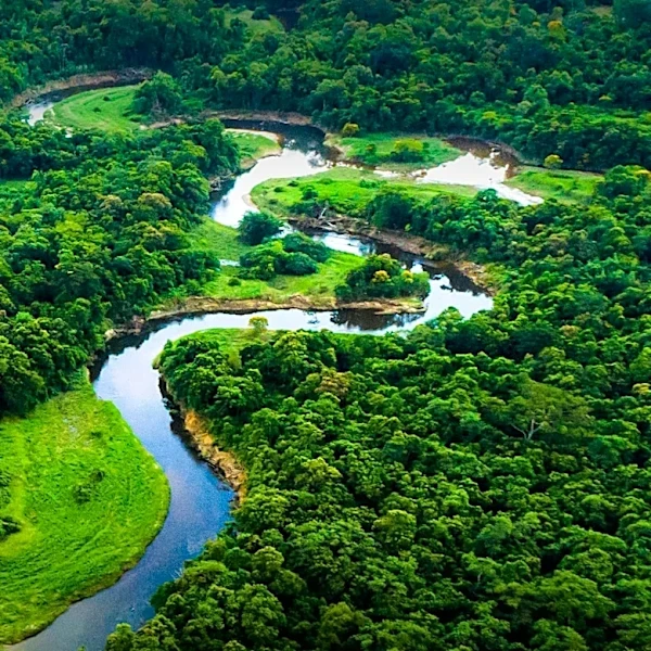 New Book 'American Amazon' Highlights Biodiversity and Threats in Southeastern U.S.