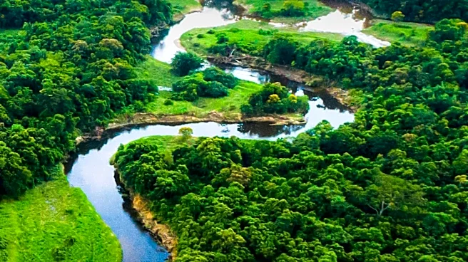 New Book 'American Amazon' Highlights Biodiversity and Threats in Southeastern U.S.