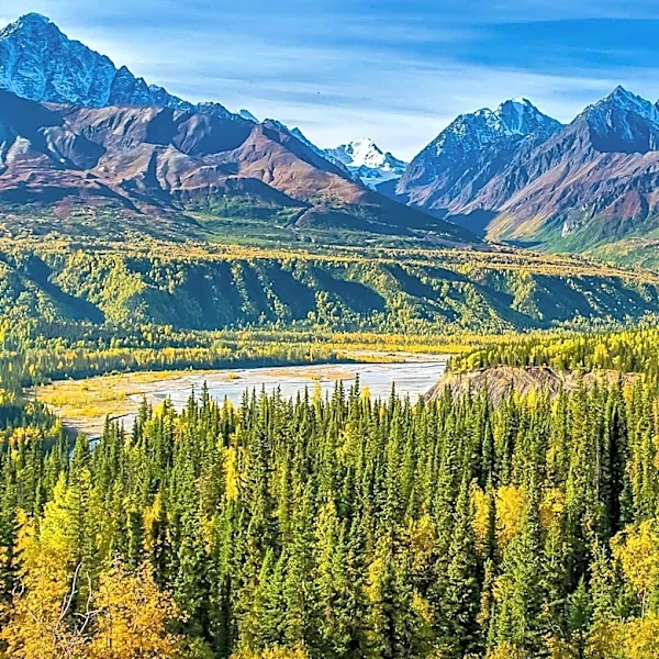 Alaska's Election Reforms to Undergo Early Test with Special Election