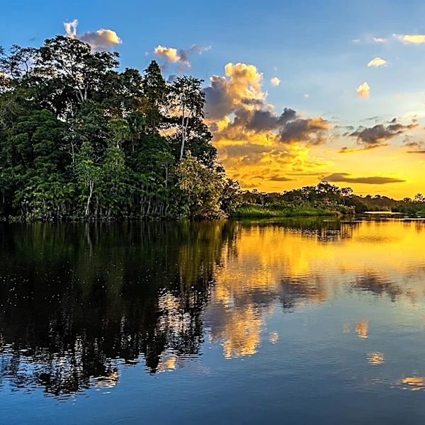 Amazon Countries Launch Major Crackdown on Environmental Crime