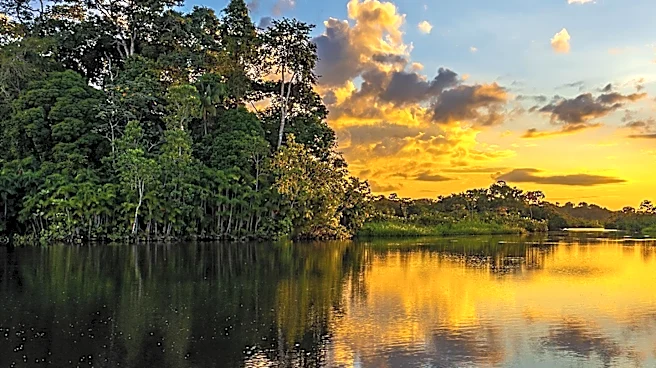 Amazon Countries Launch Major Crackdown on Environmental Crime