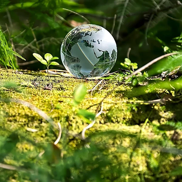 Global Environment Facility Appoints Diego Mesa Puyo as New CEO to Lead Environmental Initiatives