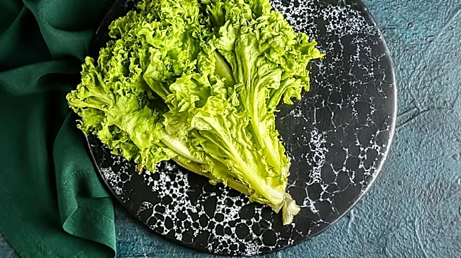 Sysco Halts Mexican Lettuce Purchases Amid Cyclospora Outbreak