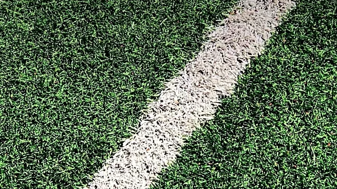 Tennessee Court of Appeals Upholds Boundary Line Decision in Property Dispute