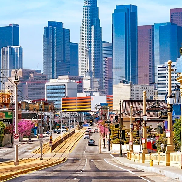 Los Angeles Faces Surge in Flea-Borne Typhus Amidst Infrastructure Challenges