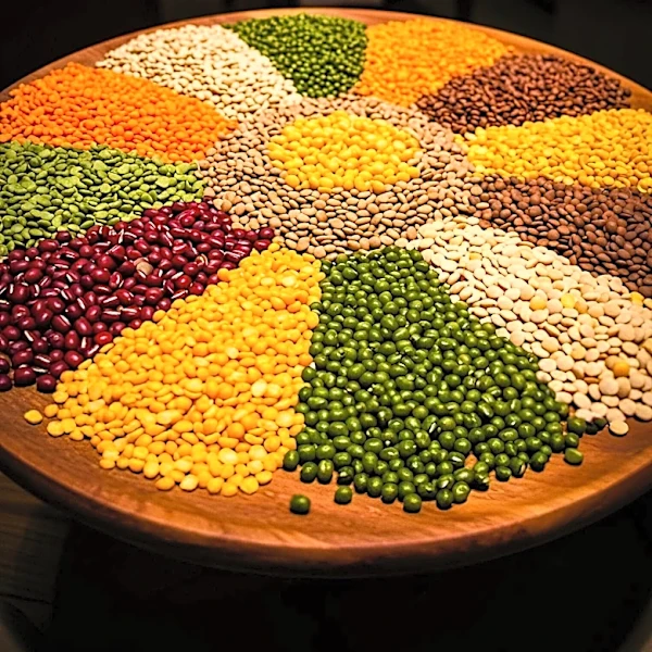 FAO Launches 2026 Fellows Programme to Tackle Global Food Security Challenges