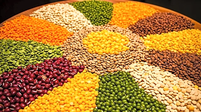 FAO Launches 2026 Fellows Programme to Tackle Global Food Security Challenges