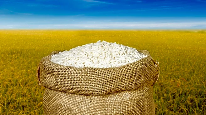 El Niño's Economic Impact: Potential Inflation and Food Price Surge