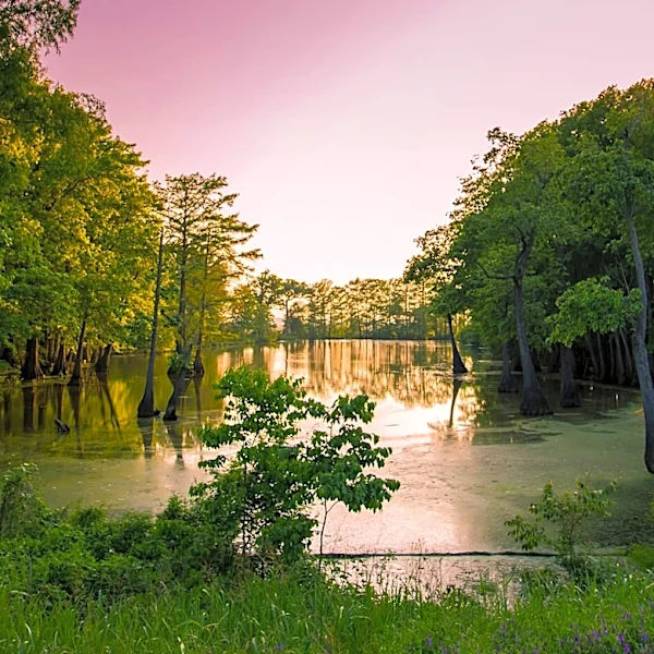 Health Advisory Issued for Cinco Bayou Due to Elevated Bacteria Levels