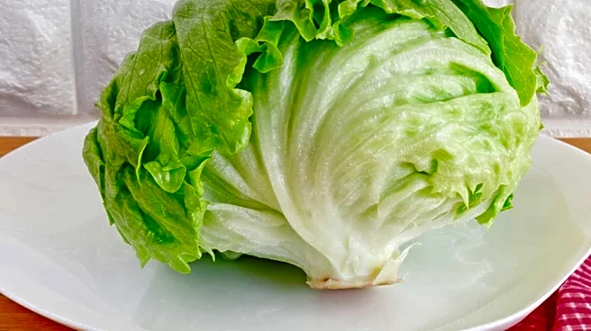 Lettuce-Linked Cyclosporiasis Outbreak Raises Concerns Over Food Safety