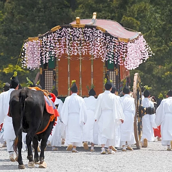 Organizers of Tohoku Summer Festivals Implement Bear Safety Measures Amid Increased Sightings
