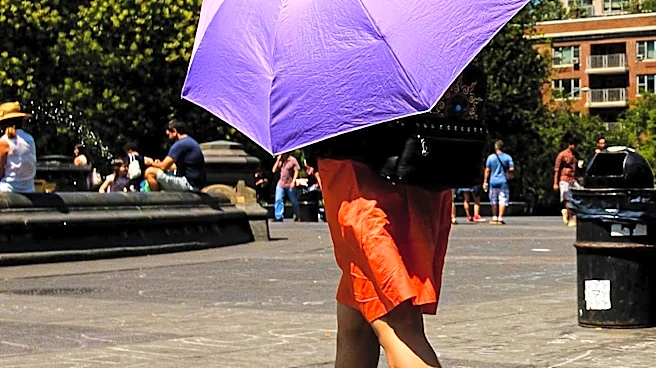Cities Unprepared for Extreme Heat, Warns Climate Journalist
