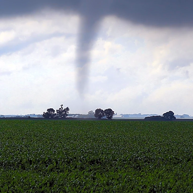 World Food Program Warns of 'Godzilla' El Niño Threatening Global Food Security
