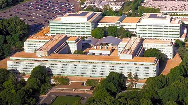 John Templeton Foundation Explores the Nature of Intelligence with New Initiative