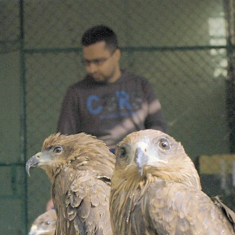 Rescued Animals Recovering at Gracey’s Rescue Ranch in San Elizario