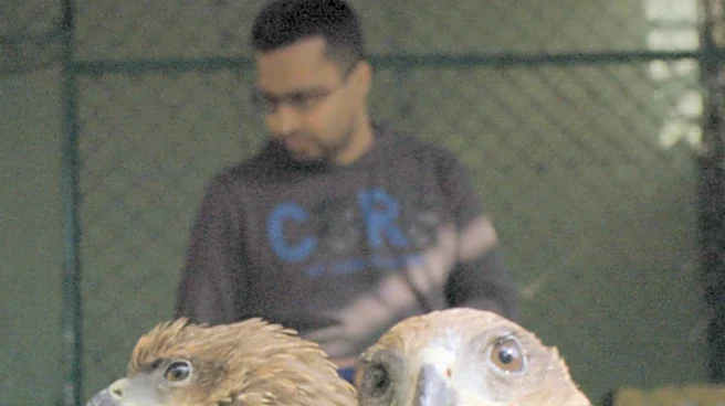 Rescued Animals Recovering at Gracey’s Rescue Ranch in San Elizario