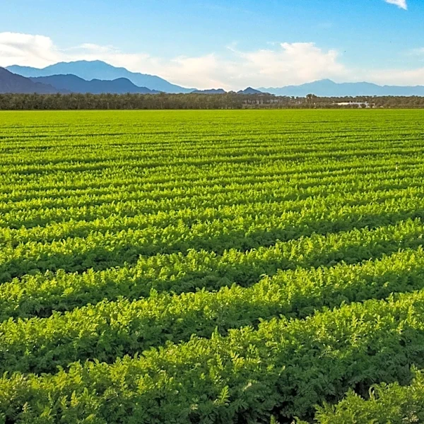 Michael Gates Advocates for Accountability and Support for Agriculture in California Attorney General Race
