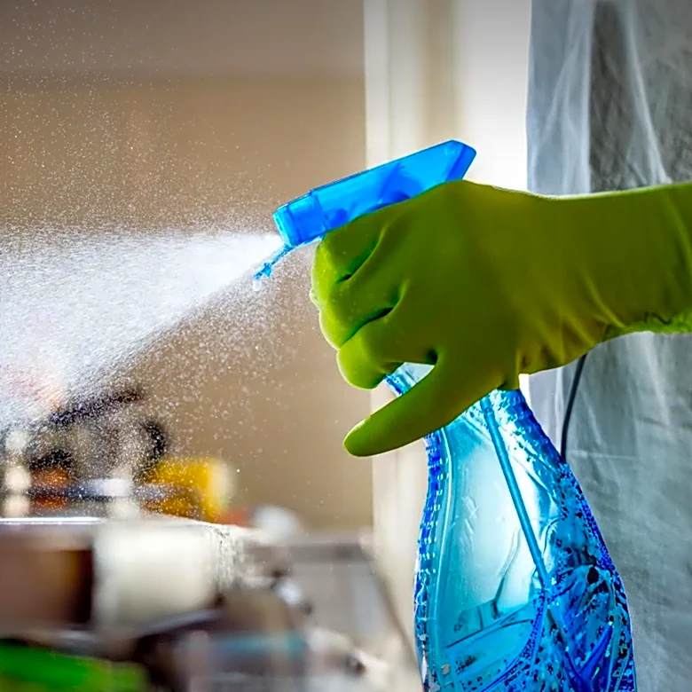 Virginia Confirms First Locally Acquired Dengue Case, Prompting Health Surveillance