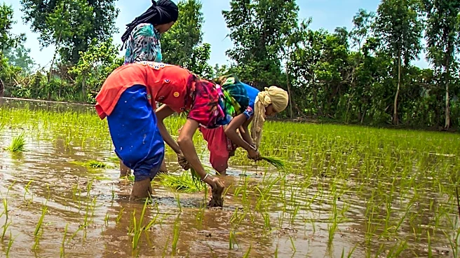 GALS Approach Empowers Women in Climate-Smart Agriculture in Malawi