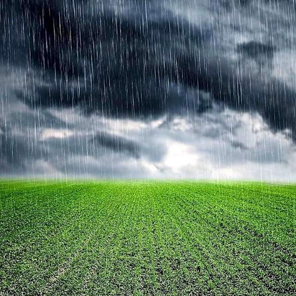 Northeast Ohio Braces for Heavy Rain and Storms Amidst Humid Conditions