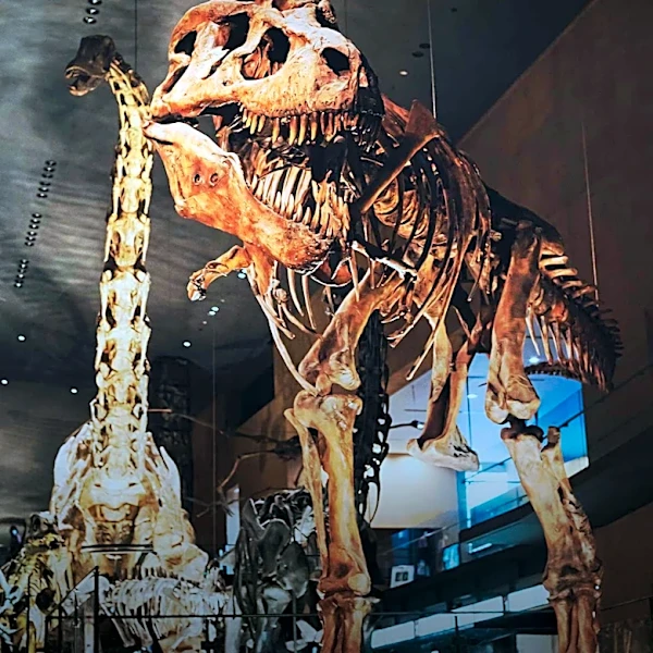 Smithsonian Institution Faces Criticism Over Executive Order on Historical Exhibits