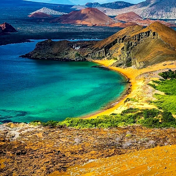 Galápagos Wastewater Contributes to Antibiotic Resistance