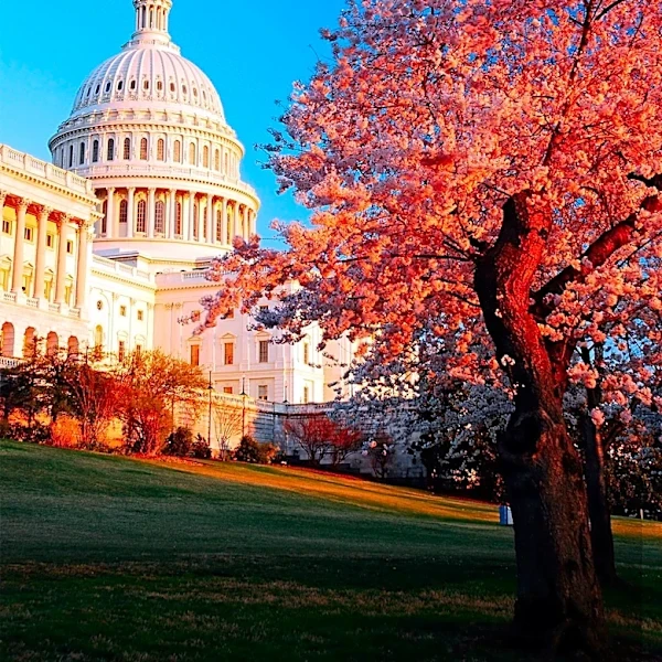House Ethics Committee Investigates Nine Congressmembers Amid Scandals