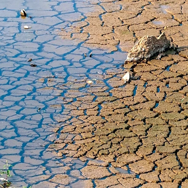 El Niño Threatens to Push 50 Million into Acute Hunger by Next Year