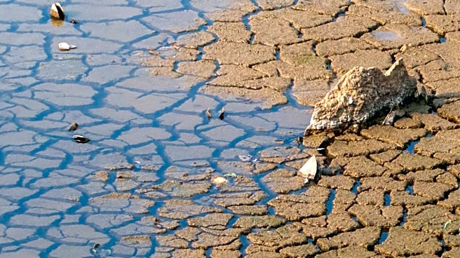 El Niño Threatens to Push 50 Million into Acute Hunger by Next Year