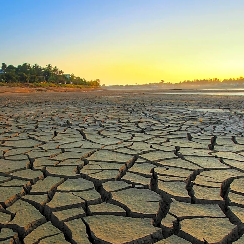 FAO Warns of Rising Food Prices Amid Geopolitical Conflicts and El Niño Effects