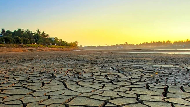 FAO Warns of Rising Food Prices Amid Geopolitical Conflicts and El Niño Effects