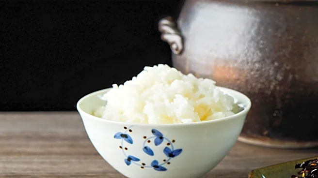 Japan Approves Temporary Food Consumption Tax Cut to Boost Economy