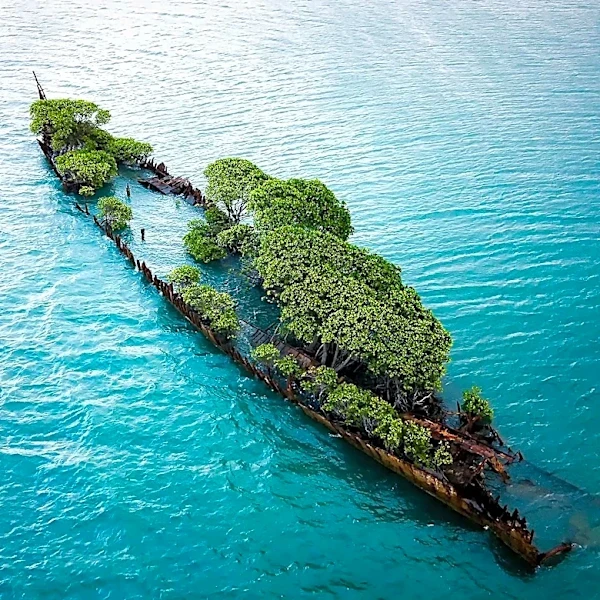 Danube River's Low Water Levels Reveal World War II Shipwrecks Amid Heatwave