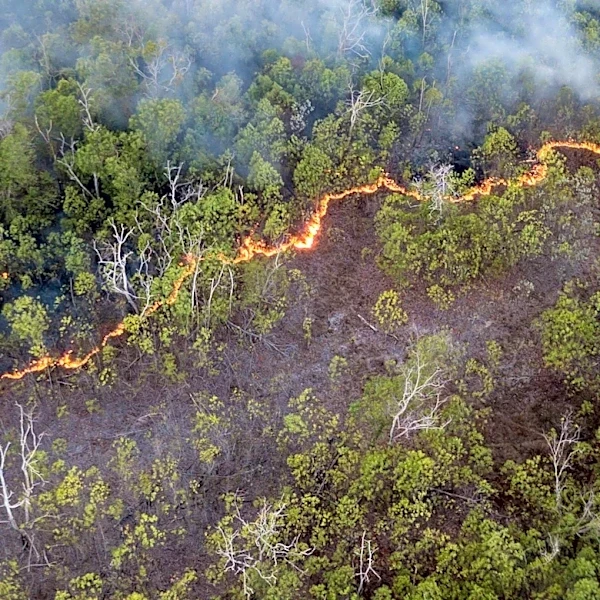 Study Links Human-Driven Climate Crisis to Increased Wildfires in Canada, Affecting U.S. Air Quality