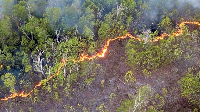 Study Links Human-Driven Climate Crisis to Increased Wildfires in Canada, Affecting U.S. Air Quality