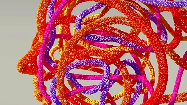 Unexpected Diagnosis: Tapeworm Infection Mistaken for Brain Cancer in Spain