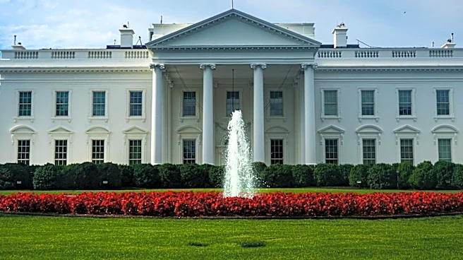 White House Releases Parody of Nicole Kidman's AMC Ad Highlighting MAGA Themes