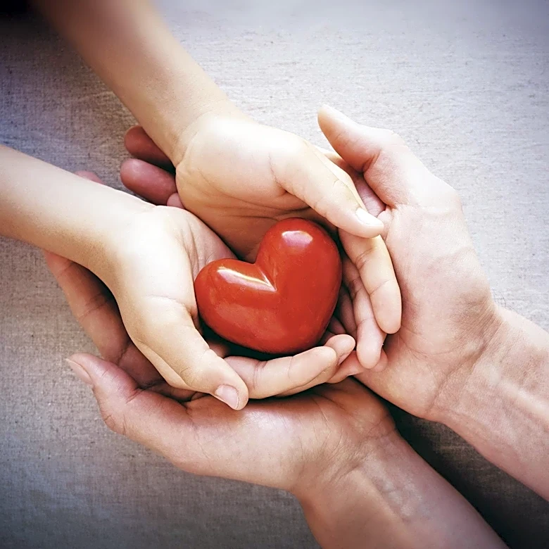 Trump Administration Moves to Shut Down Kentucky Organ Donation Group Over Safety Concerns