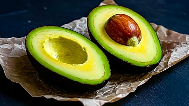 US Suspends Avocado Inspections in Michoacán, Threatening Export Disruptions