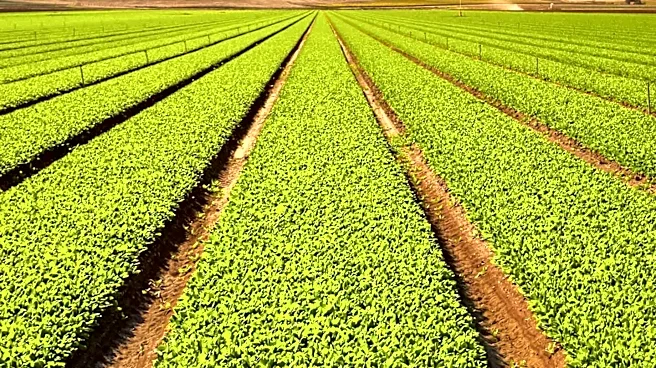 Texas and California Lead as Top States for Hobby Farming in 2026
