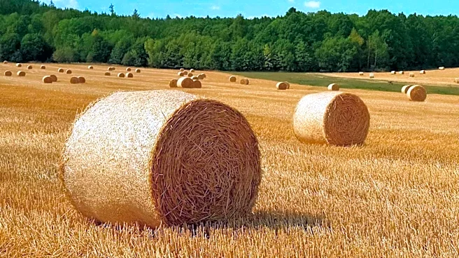 New England's Summer Daylight Dwindles as Fall Approaches, Affecting Local Agriculture