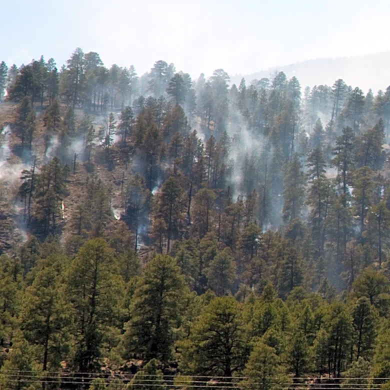 Spokane Wildfires Intensify as Fire Crews Brace for Challenging Weather Conditions