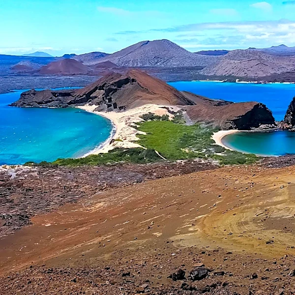 Galápagos Wastewater Contamination Raises Concerns Over Antibiotic Resistance