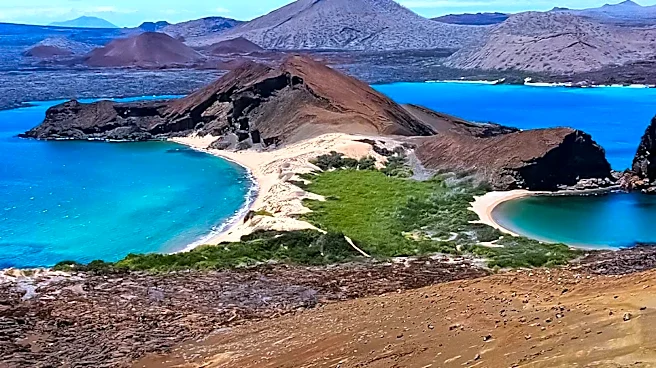 Galápagos Wastewater Contamination Raises Concerns Over Antibiotic Resistance