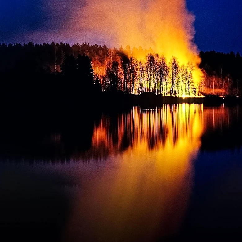 Wildfire Erupts in Belcarra Park, Evacuation Alerts Issued
