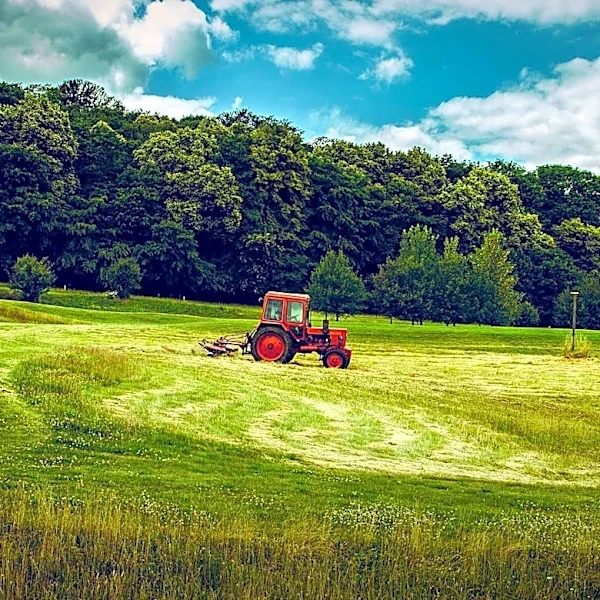 Durham Community Debates Mowing Practices Amid Wildlife Conservation Concerns