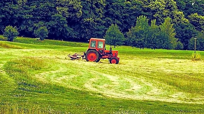 Durham Community Debates Mowing Practices Amid Wildlife Conservation Concerns