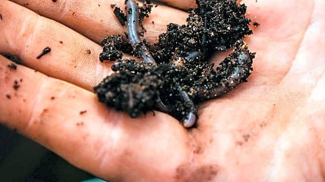 Wausau Community Considers Curbside Compost Programs in Daily Poll