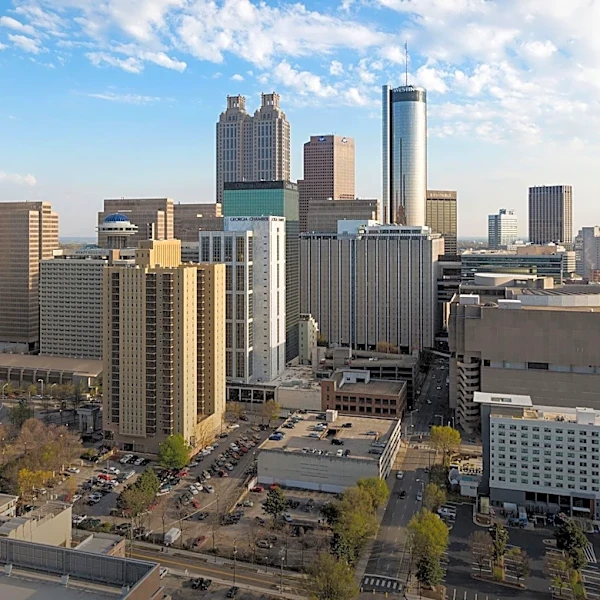 Georgia's Emerging Leaders Program Aims to Foster Civic Engagement