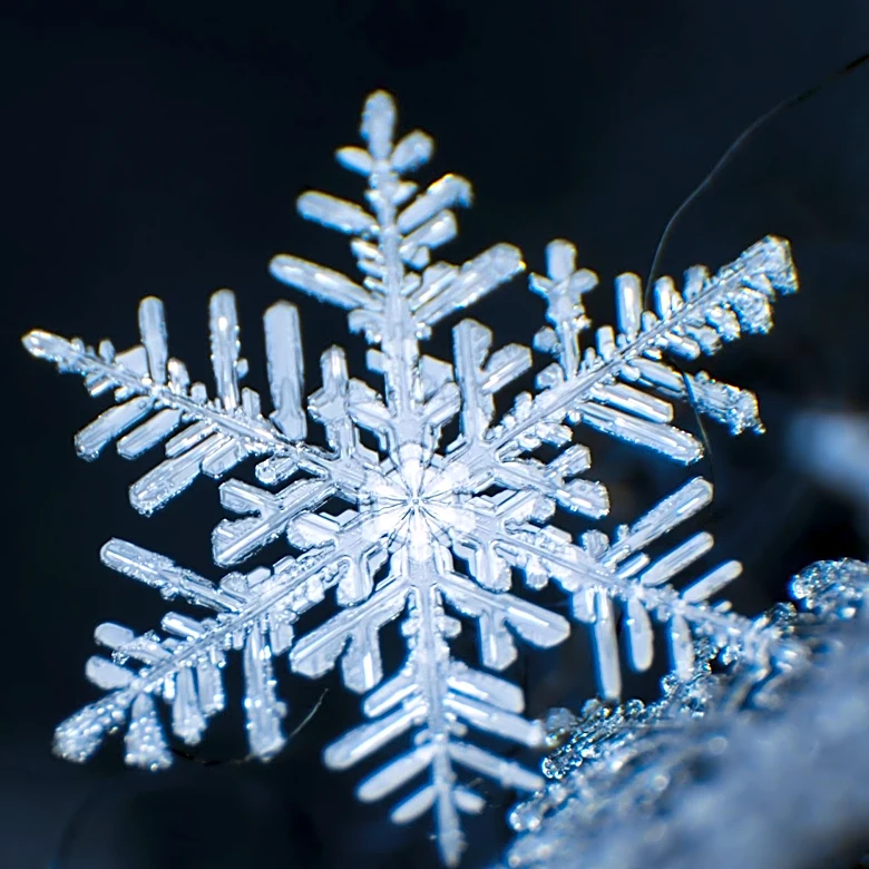 Hacker Pleads Guilty to Major Data Breach Affecting Snowflake Customers